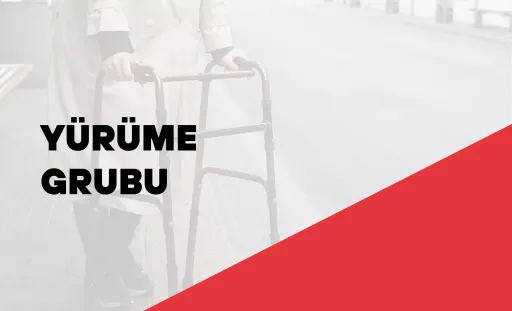  Yürüme Grupları