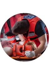 BAŞ SABİTLEME YASTIĞI İmmobilizer